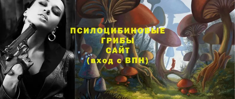 сколько стоит  Гай  нарко площадка как зайти  Галлюциногенные грибы Psilocybine cubensis  ОМГ ОМГ онион 