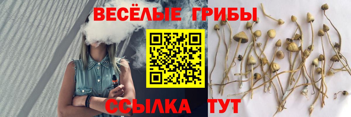 Галлюциногенные грибы прущие грибы Гай